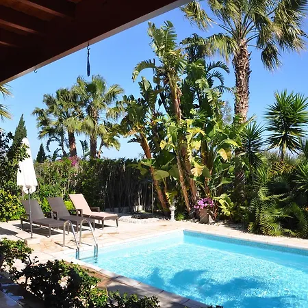 Lachi Marina #17 Polis