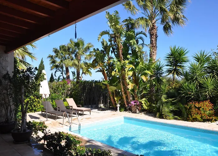 Lachi Marina #17 Polis